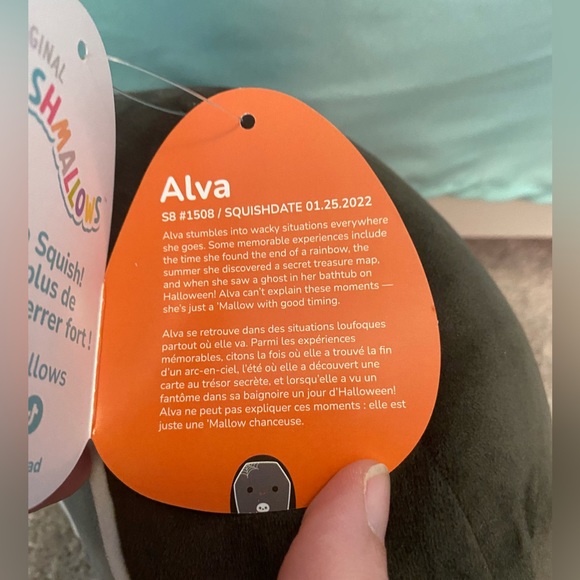 NWT 8” Alva the coffin Halloween Squishmallow - Picture 2 of 5